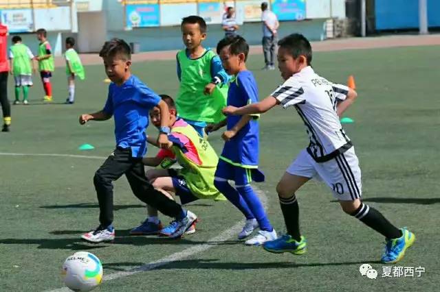 足球小子青少年足球大赛,中国青少年足球队贝贝杯