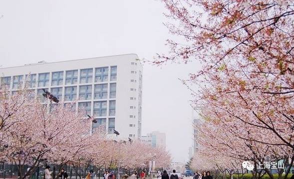 穿越百年！这里是上海最早的“大学城”
