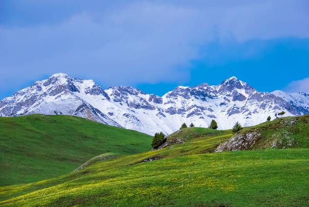 对不起，我去草原了，别再找我了……