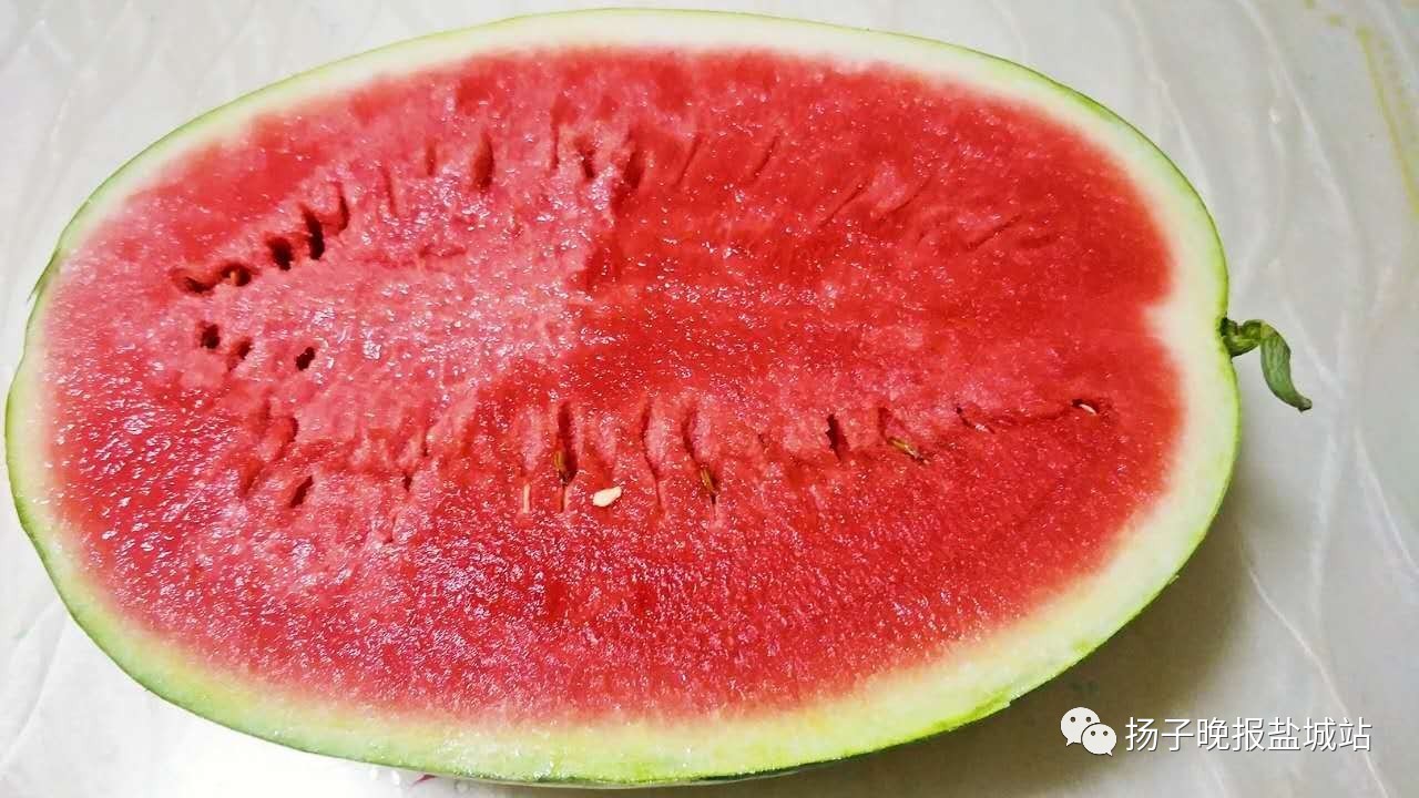 厉害了Word大学生！甘肃沙田瓜运到盐城卖，10天销量达70吨