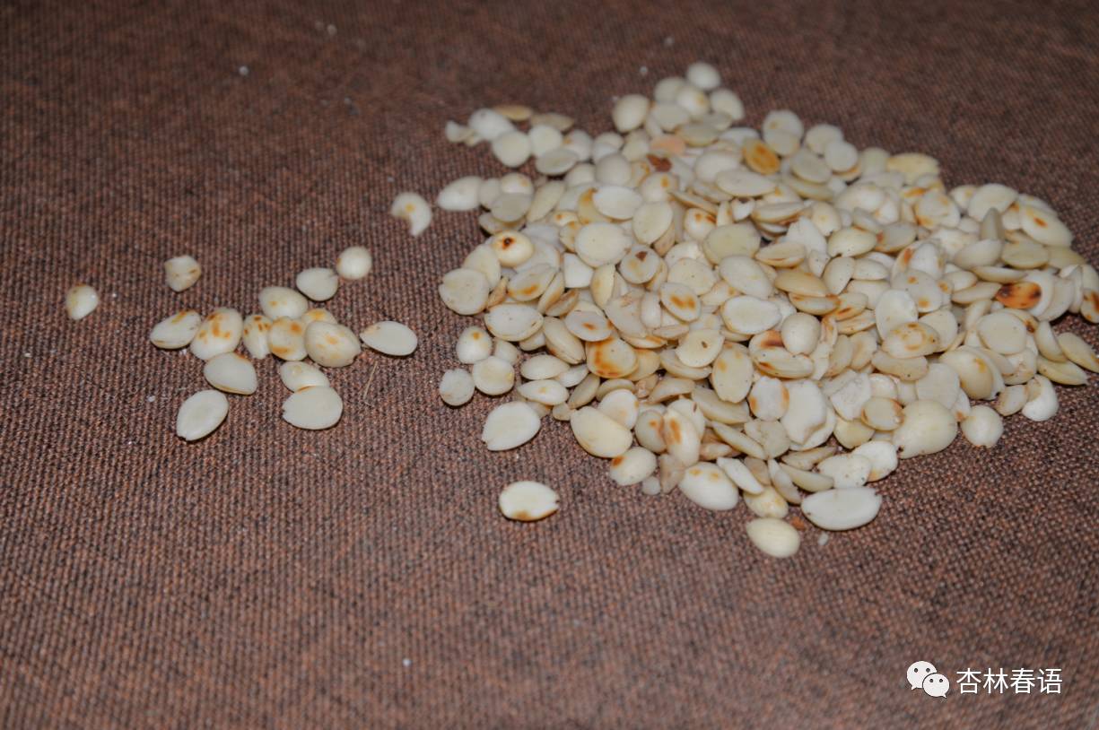 桃仁药食同源,桃仁是药食同源的吗