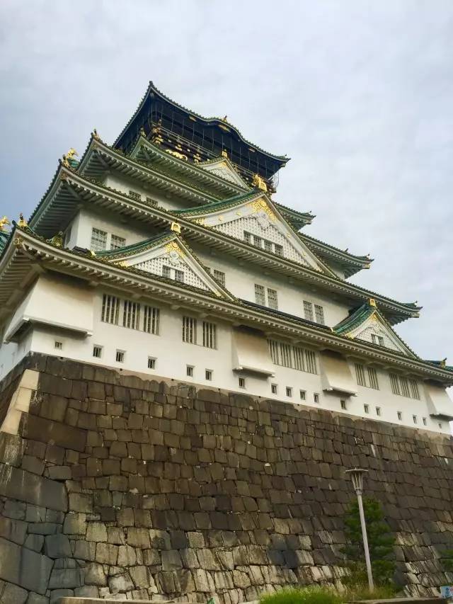 子桐品|处女星奇幻漂流记(下):日本街头寻宝记