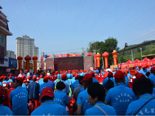 樱桃益生元菌肥,大连益生元生物菌肥