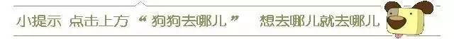 自从养了狗就没有了朋友,自从养了狗就没有朋友