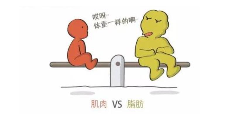 「江西上和糖尿病管理中心」仅知道体重、BMI就够了吗？