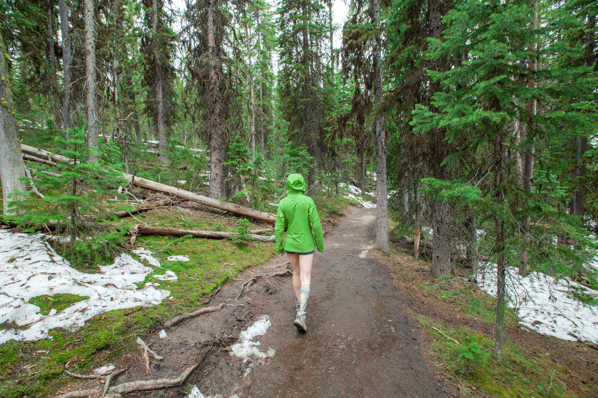 女士美式冲锋衣测评,patagonia冲锋衣适合温度