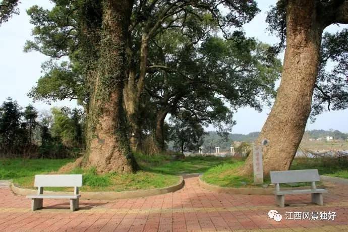 江西特色小镇一览表,江西旅游特色小镇