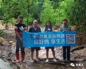 喝“活水”长大的飞凤鸡味道更浓郁?