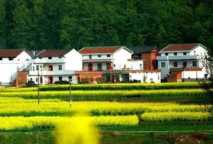 农村宅基地申请一直不给批,农村宅基地不予审批怎么办