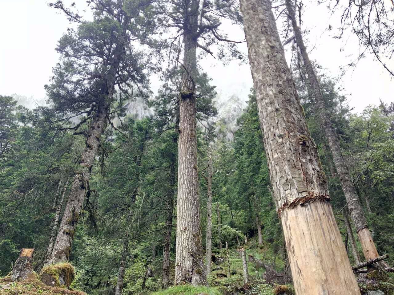 户外小白成长记,户外小白进阶课