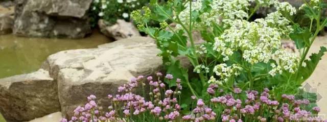 宜宾繁华城中心，竟然藏华美秘境！有莫奈花园、玫瑰花园、四季花园……