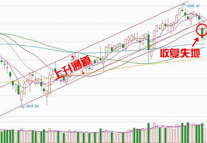 牛散仅用一方法选股5年赚了100万,牛散十年选股绝招