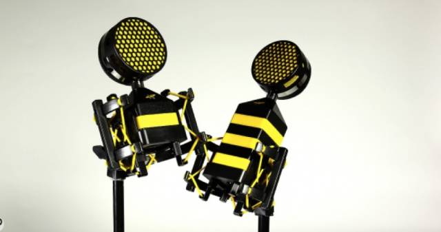 neat蜂王麦克风真假查询,neat蜂王麦克风小振膜