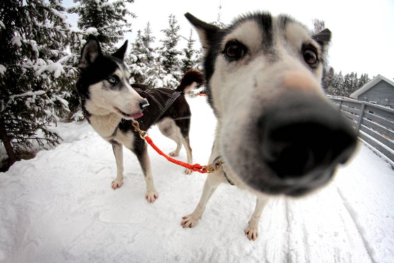 1万人民币可以在芬兰生活多久,去芬兰旅行要多少人民币
