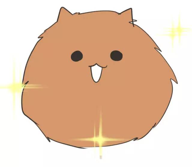 我家博美犬长得怎么样,博美犬8岁是老狗吗