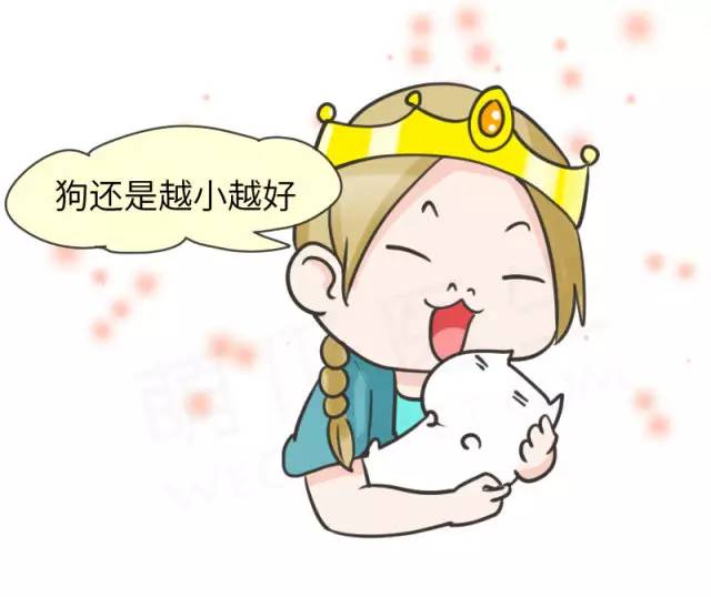 我家博美犬长得怎么样,博美犬8岁是老狗吗