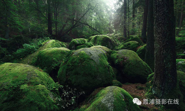 格林童话微缩景观,格林童话拍照