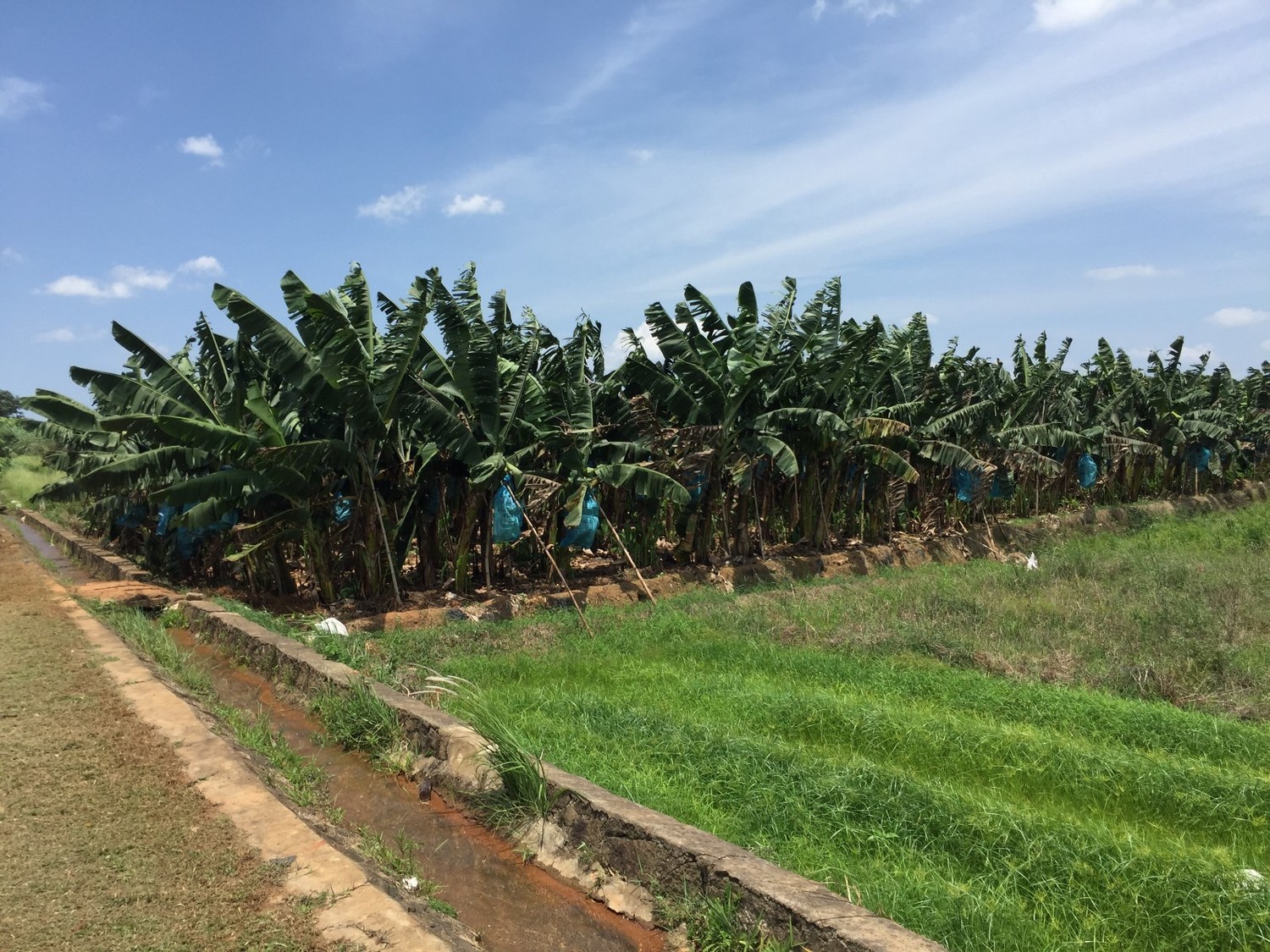 单车骑行环海南岛攻略,环海南岛骑行一圈花费