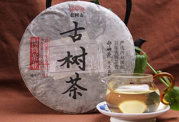 老同志普洱茶哪一款性价比最高,大益普洱茶和老同志普洱茶