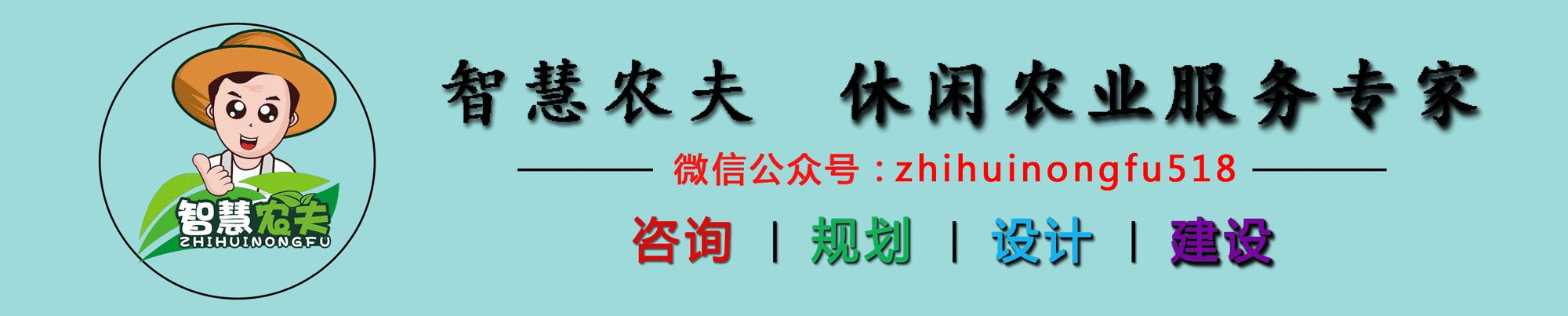 无土栽培的成本和利润如何,原来这就是变富秘诀