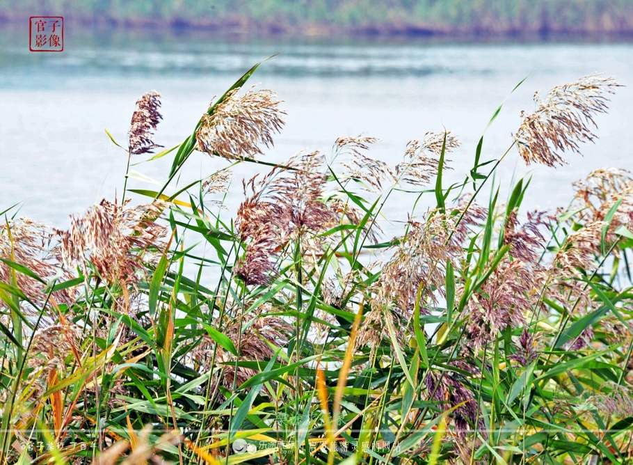 亚洲最大的天然红地毯,世上最出名的红地毯