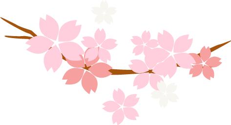 luna洁面仪替代款,luna硅胶洁面仪