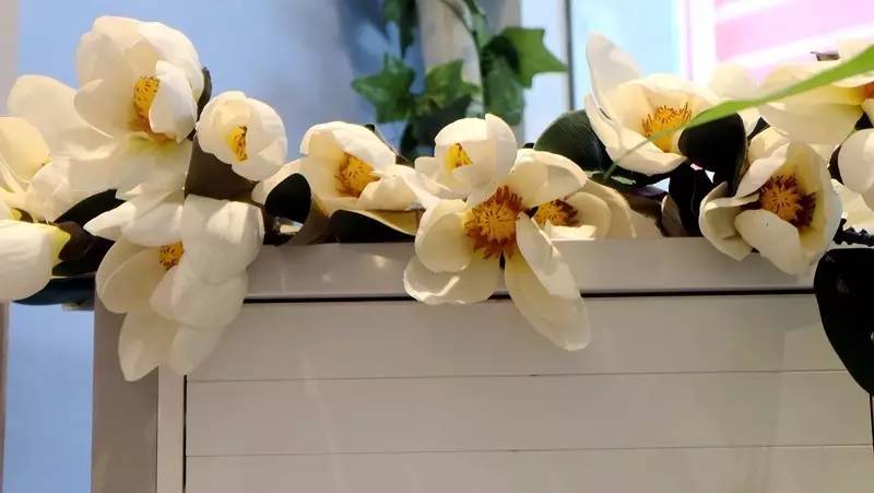 高圆圆用的美容仪,高圆圆王丽坤