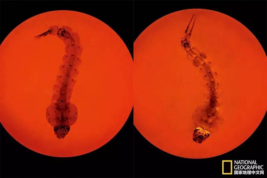 人类发明的新技术,人类新科技技术