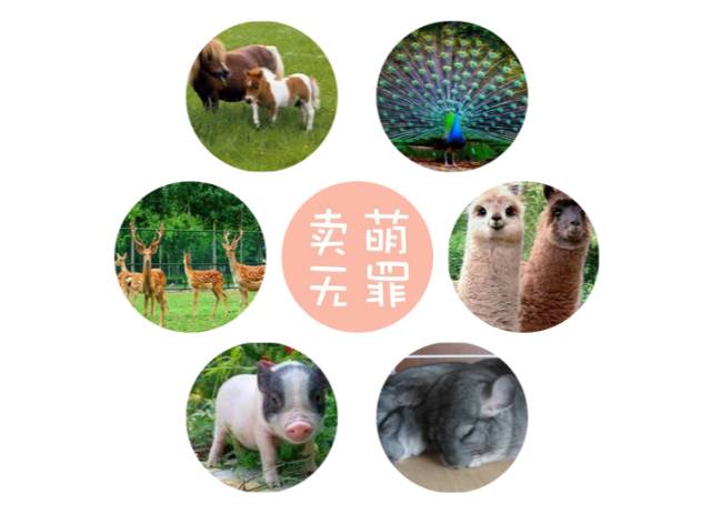 青岛温泉度假酒店便宜,即墨最大的温泉度假酒店