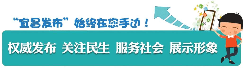 老年人反欺诈典型案例,老年人反欺诈宣传案例