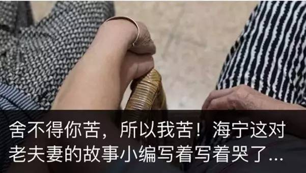 “共享汽车进入海宁，每分钟5毛钱，但我为什么不会用？”网友列出五大问题，哪一个是你关心的！