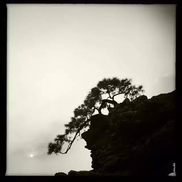 1分钟轻松搞定8个手机摄影技巧,想学一点入门的手机摄影技巧