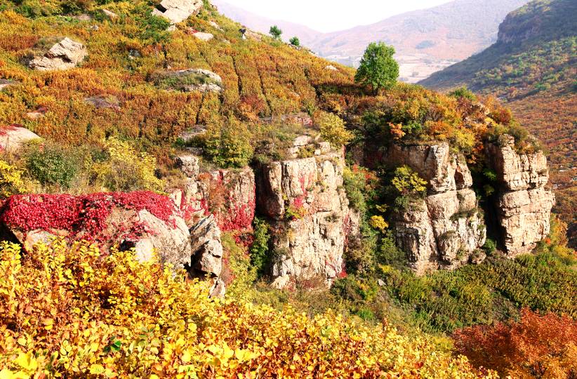 弓长岭风景的视频,弓长岭区夜景
