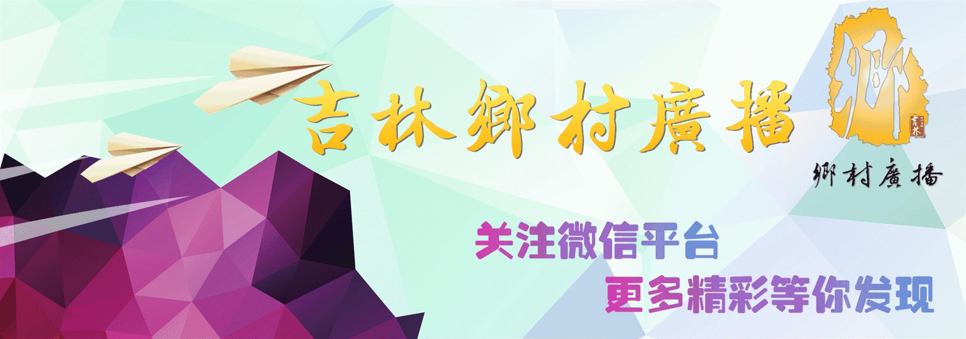 衣服除狗毛神器,去除衣服上狗毛最好方法