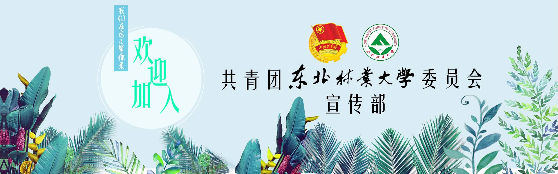 东北林业大学新生选拔,东北林业大学2021届新生报名安排