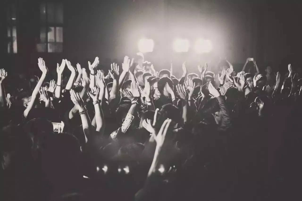 内容IP化的情怀连接:黑豹乐队、保温杯和授权宝