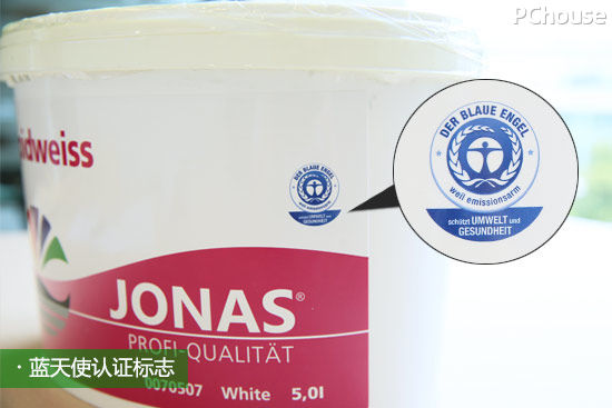 热门环保哑光墙面漆,德国鲸彩漆墙面效果