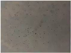 你必须要知道的家装防水二三事！