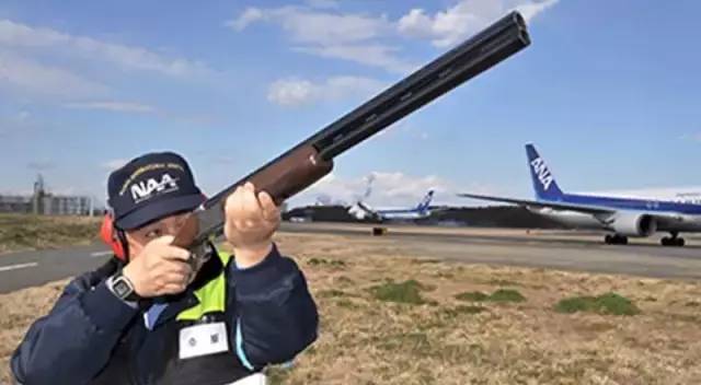 日本出事飞机竟与311大地震有关,日本航空jal123号班机坠毁事件