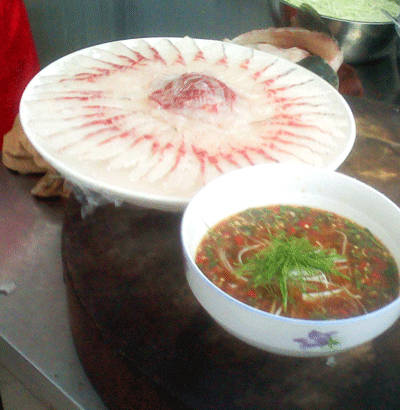 美丽的河口一日游,秋色正好邂逅大美河口