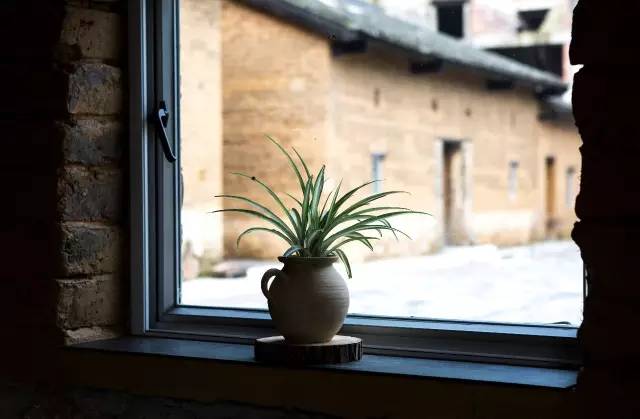 柳州这9家有格调的民宿,广西最奇特的民宿