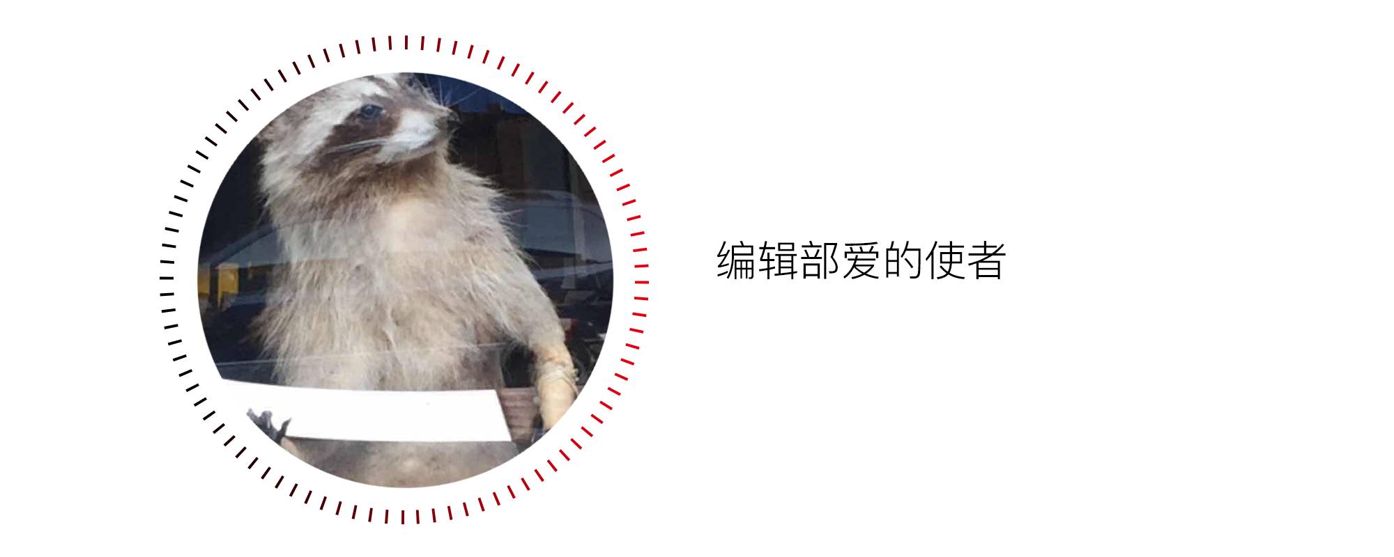 黑胶太小众，创业融资难？胶流APP：希望遇到爱黑胶、懂黑胶的投资人｜创业公司