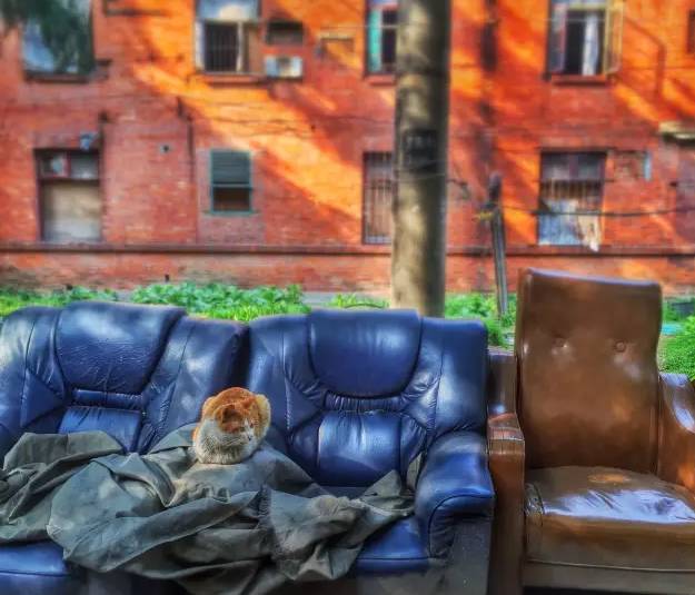 若你看过了望亭的前世今生，你会爱上这个“稻香小镇”！