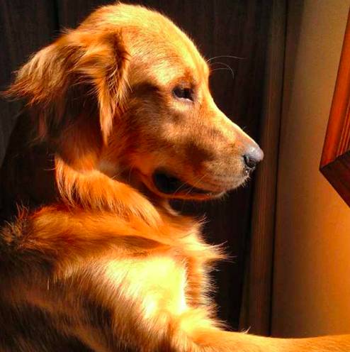 好物节福利,好利来周年庆员工礼品