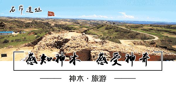 神木全攻略,吐血整理学习攻略