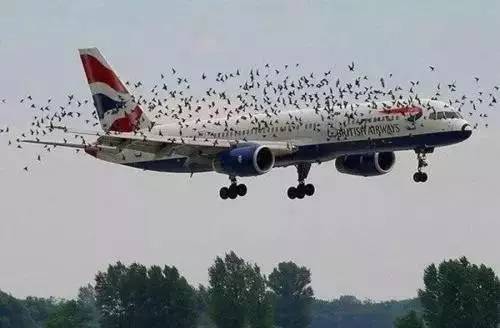 日本出事飞机竟与311大地震有关,日本航空ja350号班机坠毁事件