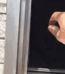 狗狗当销售部老总,狗当老板的店视频