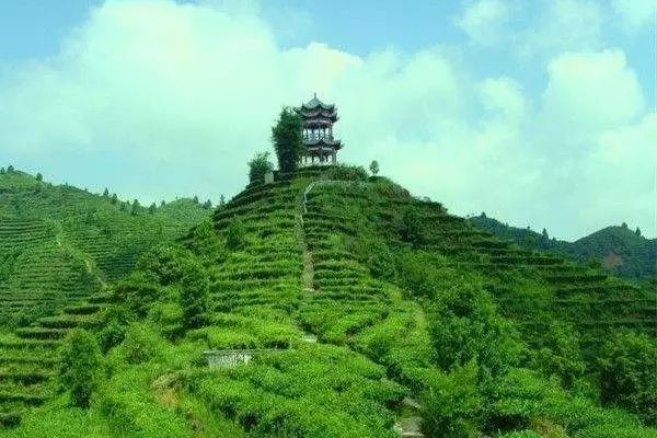 广西山清水秀风景视频,广西山清水秀的县