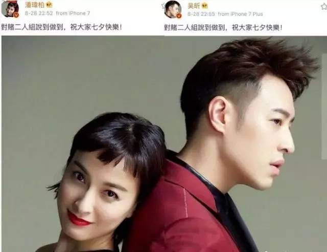 我们相爱吧无尾熊插曲,我们相爱吧无尾熊探班