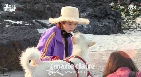 孝利家的民宿iu哪一期,孝利家民宿客人对iu的评价